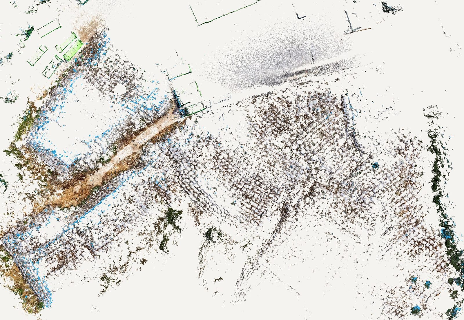 Αποτύπωση LiDAR κτήματος με ελαιώνα και κτίσματα